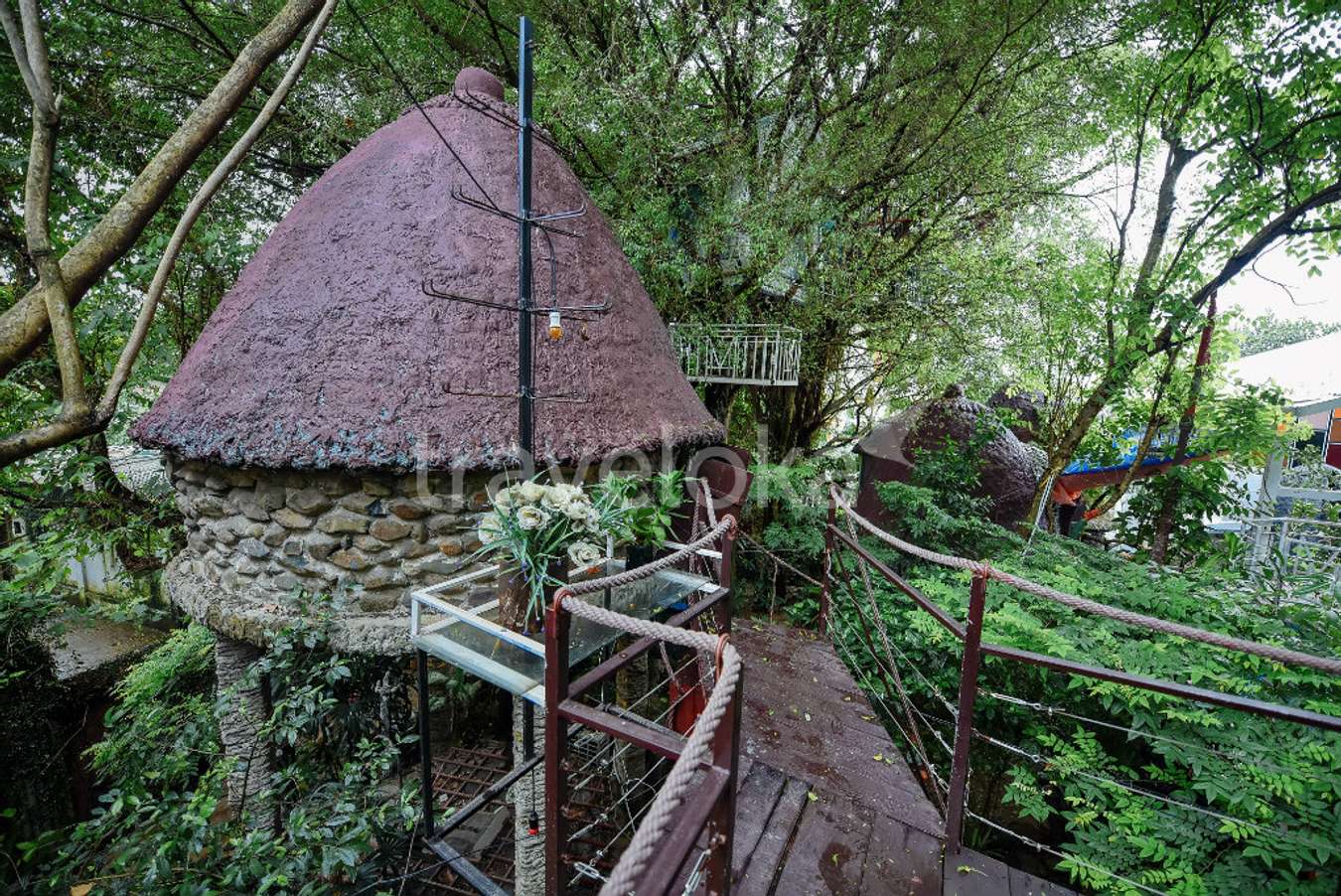 Đào Anh Khánh Tree House Hà Nội 13