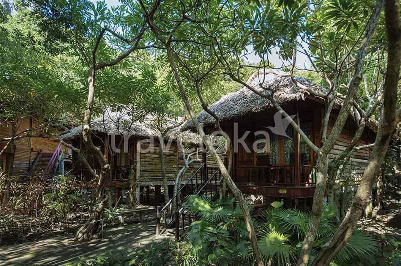 Monkey Island Resort - khu nghỉ dưỡng cao cấp bạn sẽ yêu ngay từ cái nhìn đầu tiên