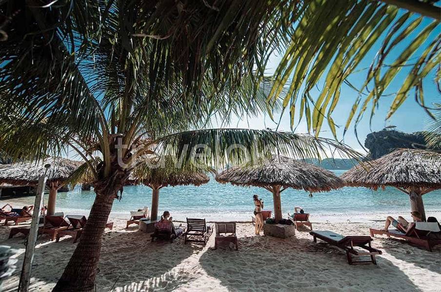 Monkey Island Resort - khu nghỉ dưỡng cao cấp bạn sẽ yêu ngay từ cái nhìn đầu tiên