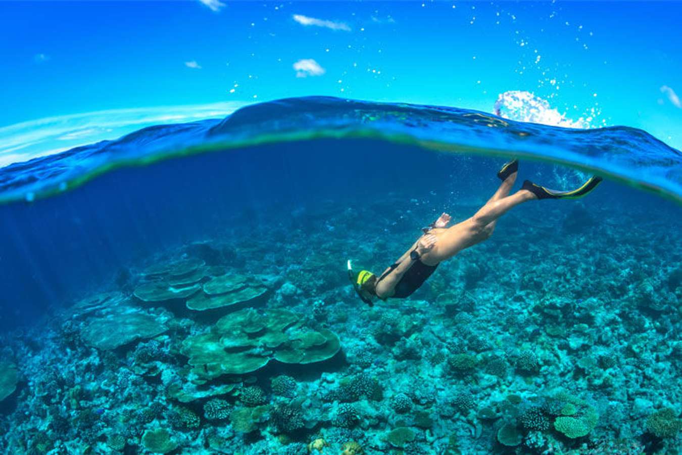 Scuba Diving in Palawan