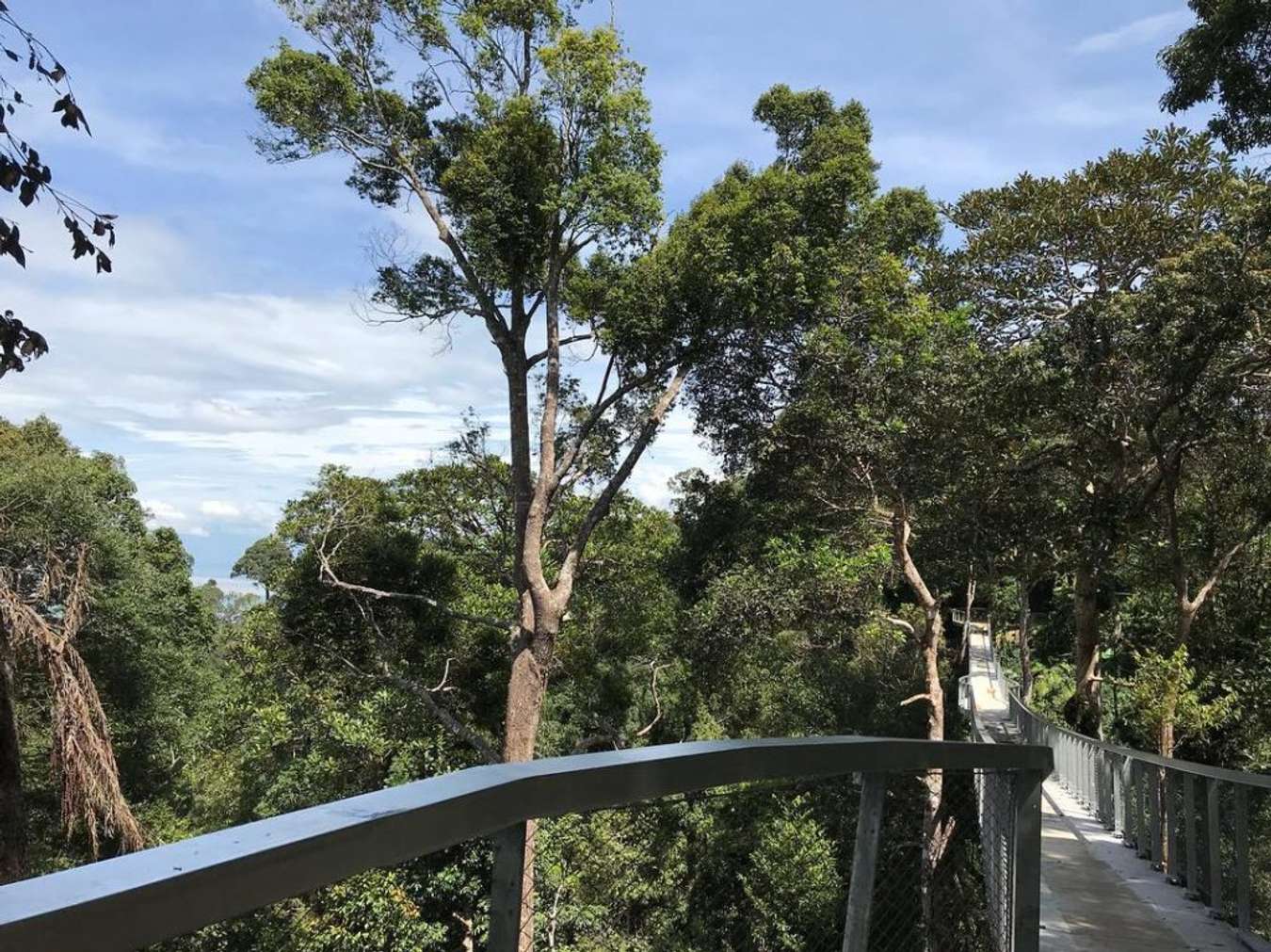 Langur Way Canopy Walk