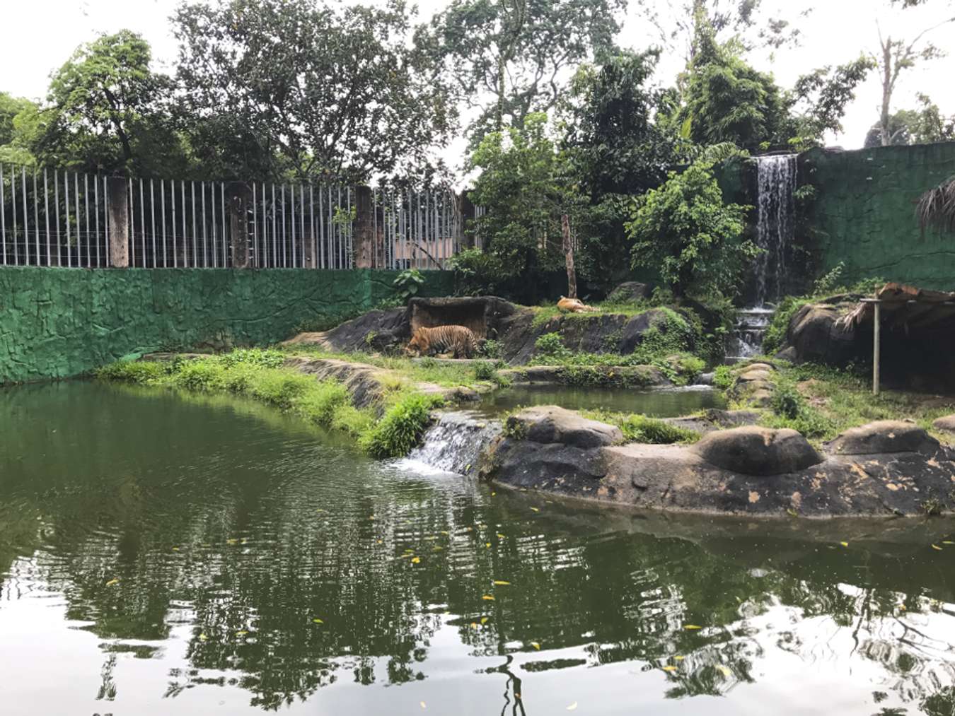 Melaka Zoo & Night Safari
