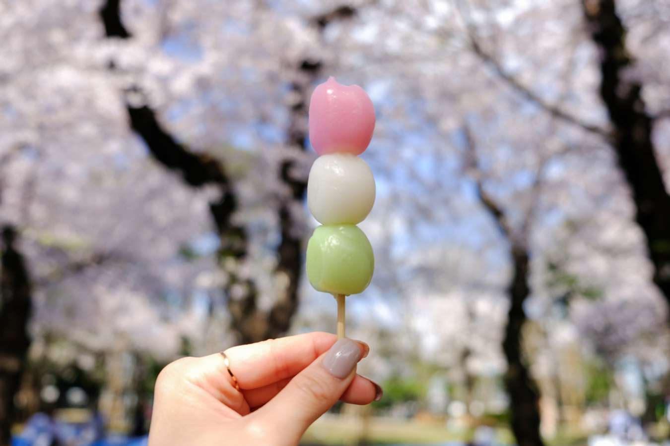 Hanami Dango