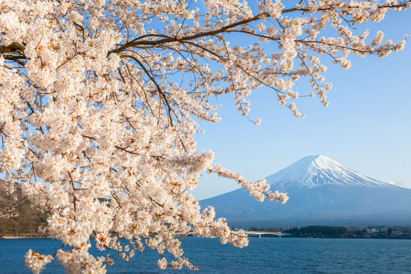 Lake Kawaguchiko