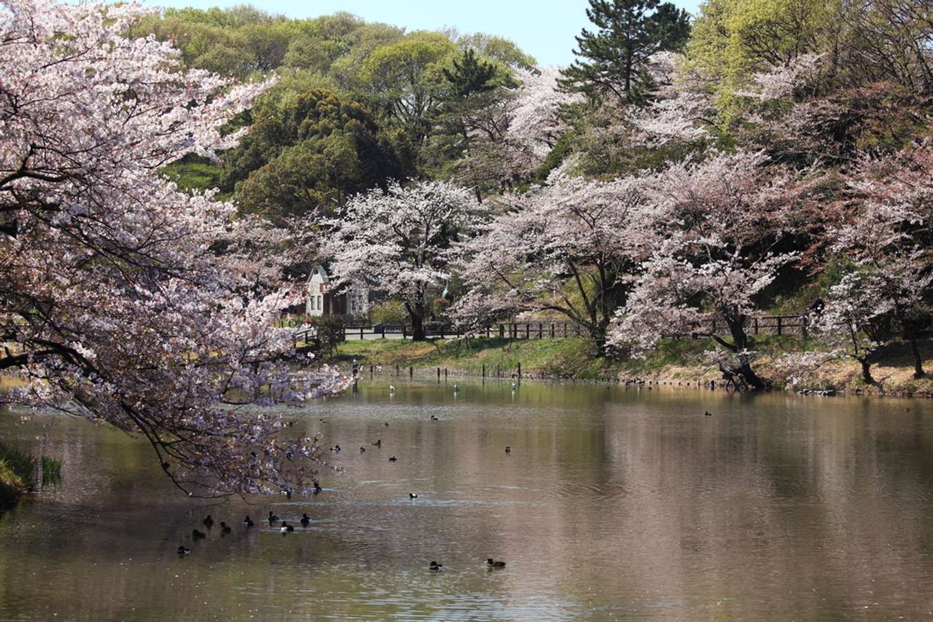 Mitsuike Park