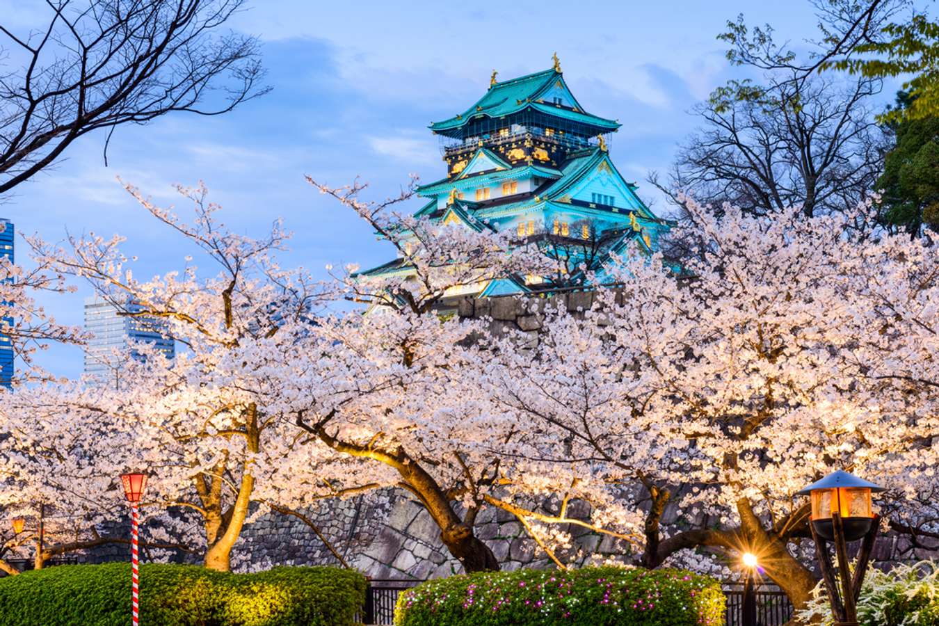 Osaka Castle Park