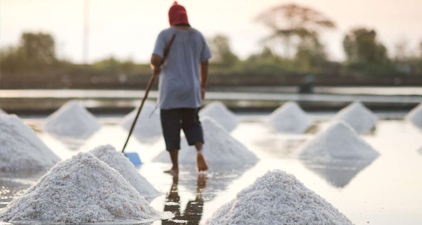 Salt Farm Pangasinan