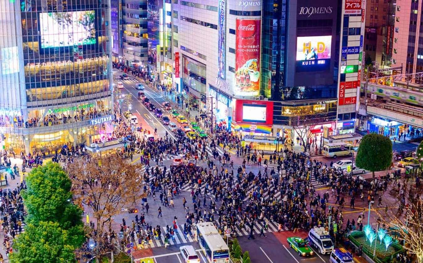 Cẩm nang du lịch Tokyo cho những bạn vi vu Nhật Bản lần đầu 