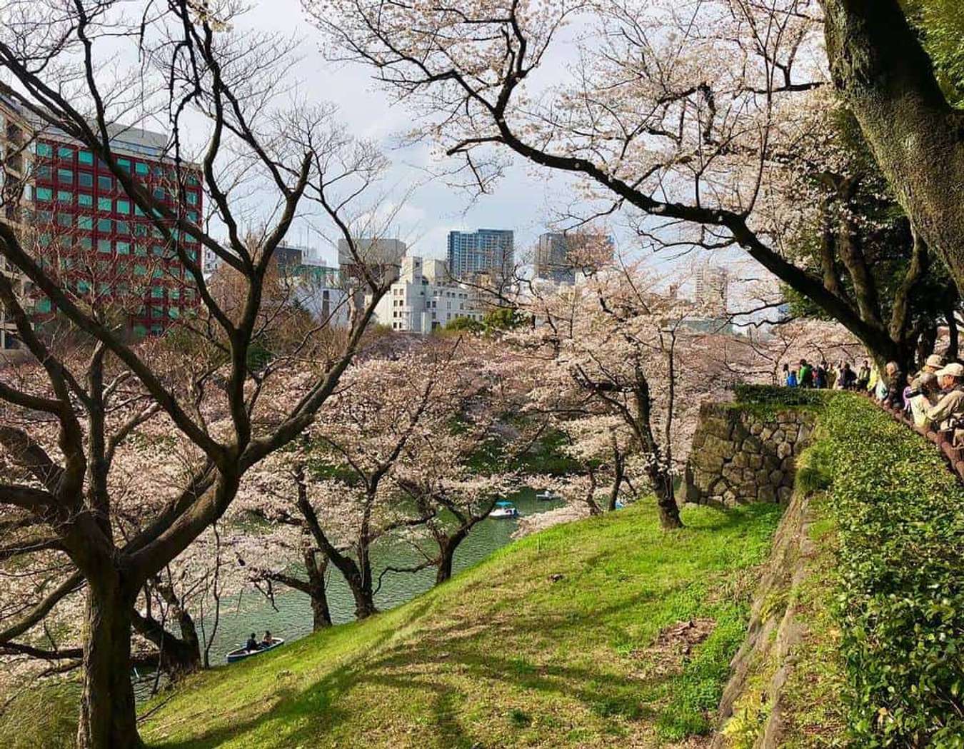 Cẩm nang du lịch Tokyo cho những bạn vi vu Nhật Bản lần đầu