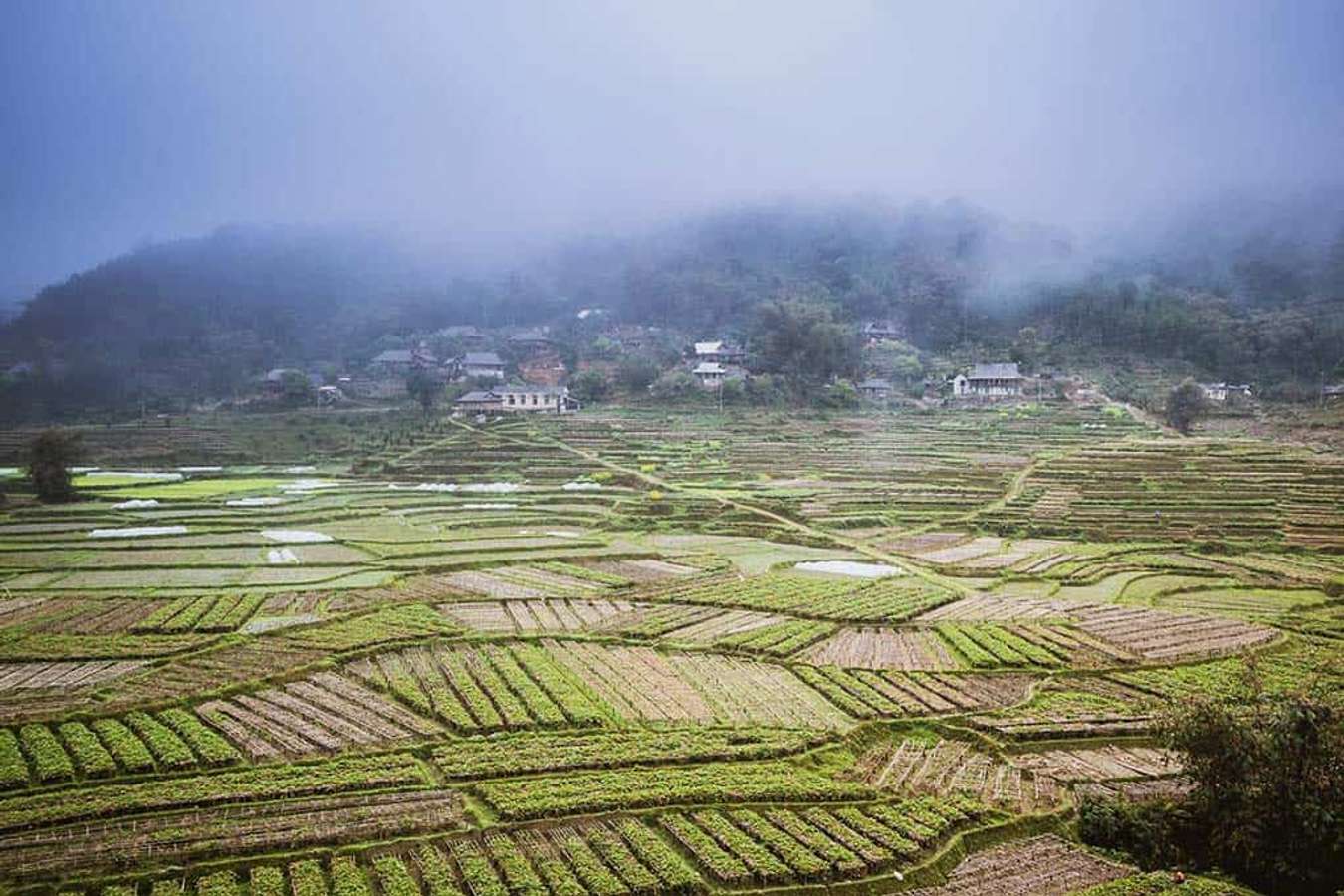 Đừng quên chạm 