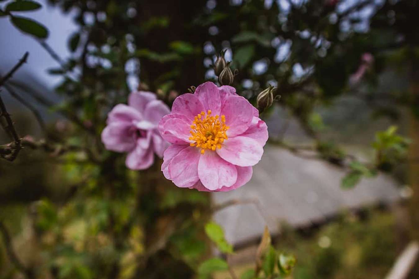 Đừng quên chạm 