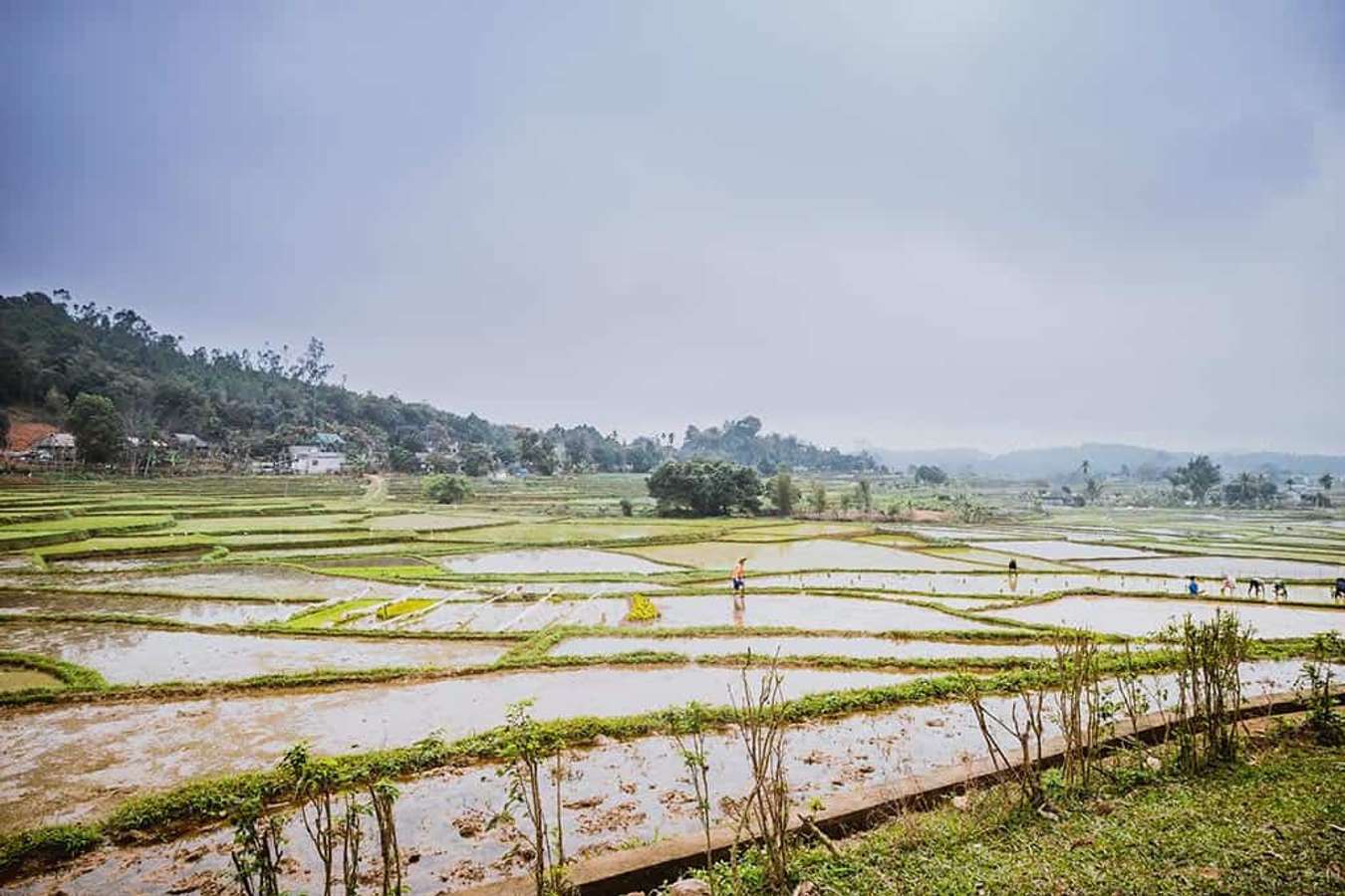 Đừng quên chạm 