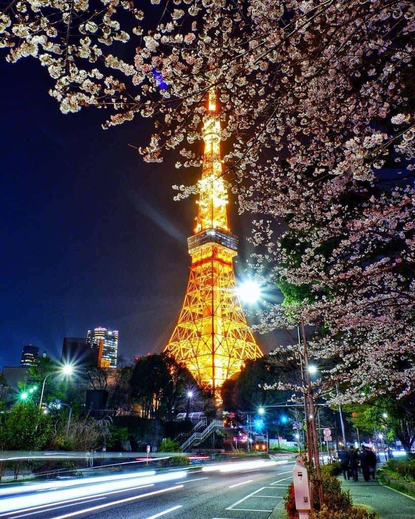 Địa điểm du lịch Nhật Bản: Nếu bạn muốn khám phá sự đa dạng của văn hóa, kiến trúc, ẩm thực và văn hóa nghệ thuật của Nhật Bản, hãy lên kế hoạch cho một chuyến du lịch đến đất nước này. Có rất nhiều địa điểm du lịch đáng đến như Tokyo, Kyoto, Osaka, Hakone, Nara và nhiều địa điểm khác.