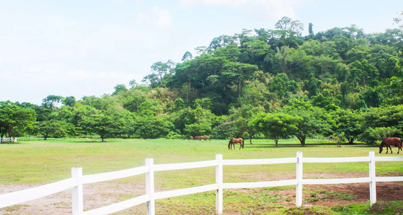 El Kabayo Stables