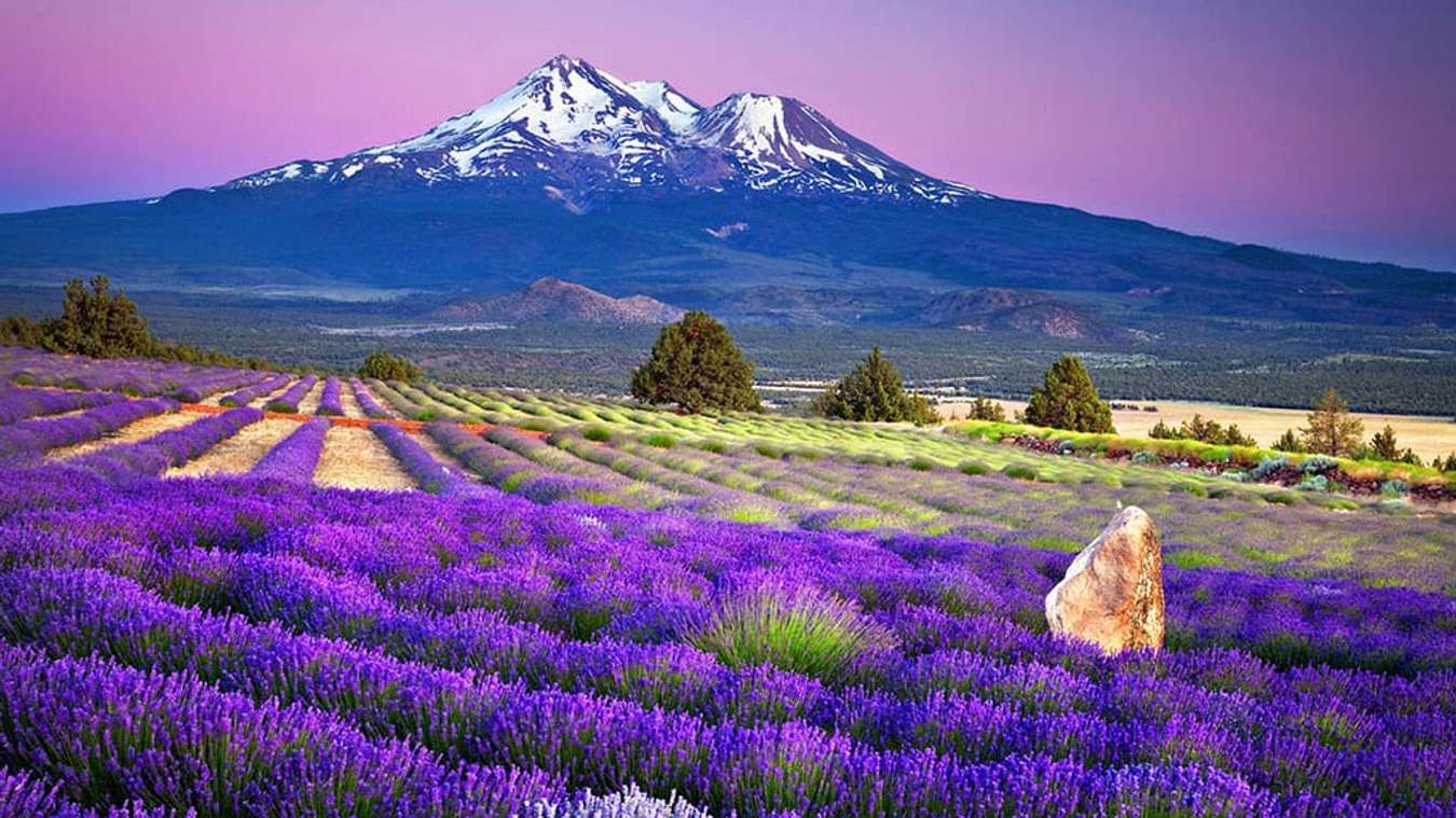 Xem trọn cẩm nang du lịch Hokkaido, bán đảo được thiên nhiên ưu đãi