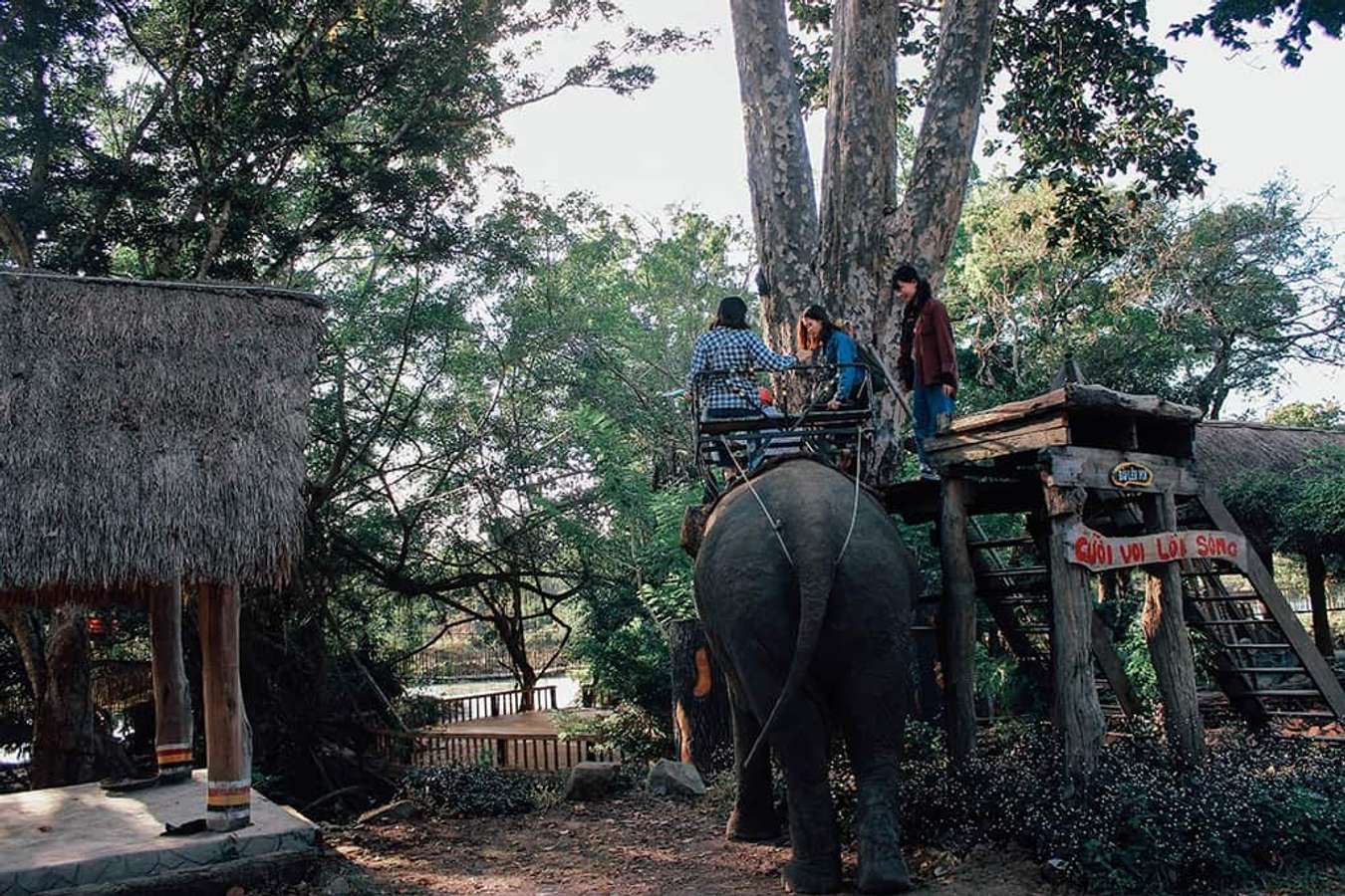 Những địa điểm du lịch Tây Nguyên cho tháng ngày rong chơi - Traveloka Golocal 