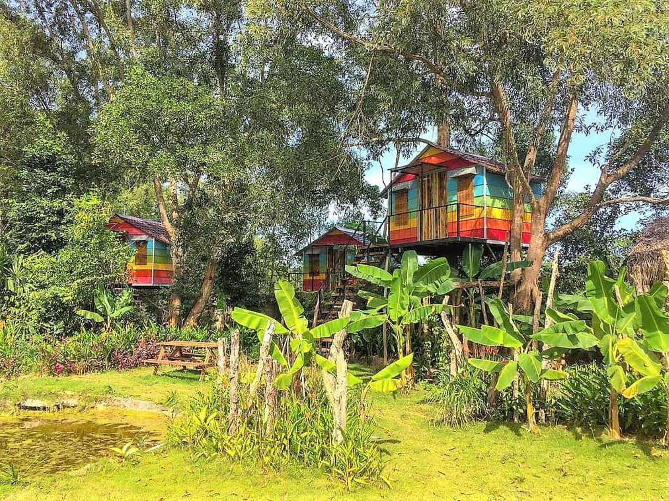 homestay phú quốc-the birdhouse