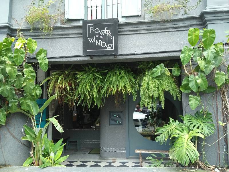 Flowers In The Window