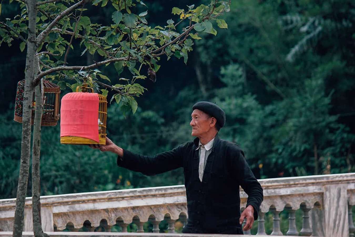 Nhà của Pao - Các điểm du lịch Hà Giang 