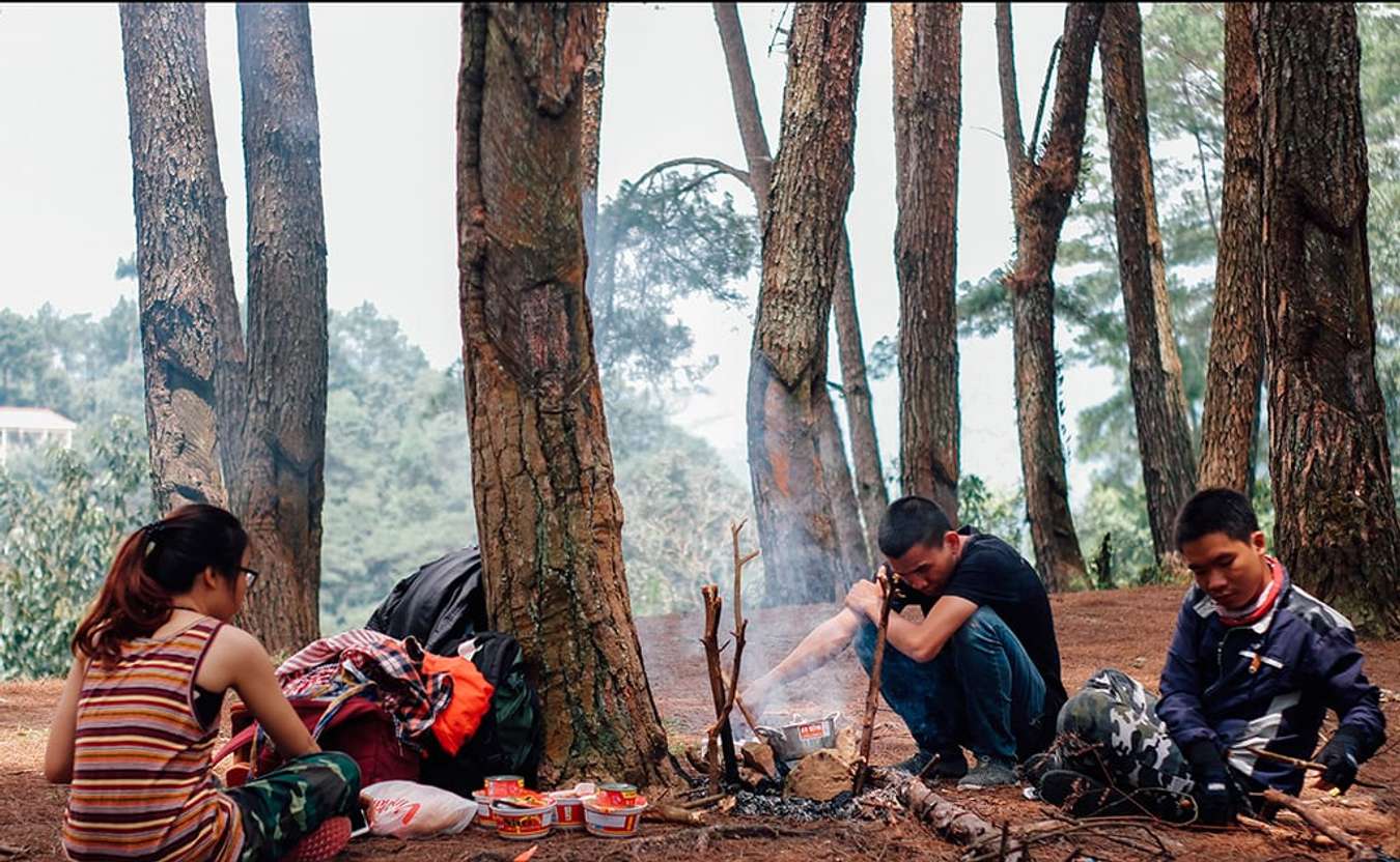 Rừng thông Yên Minh - Các điểm du lịch Hà Giang