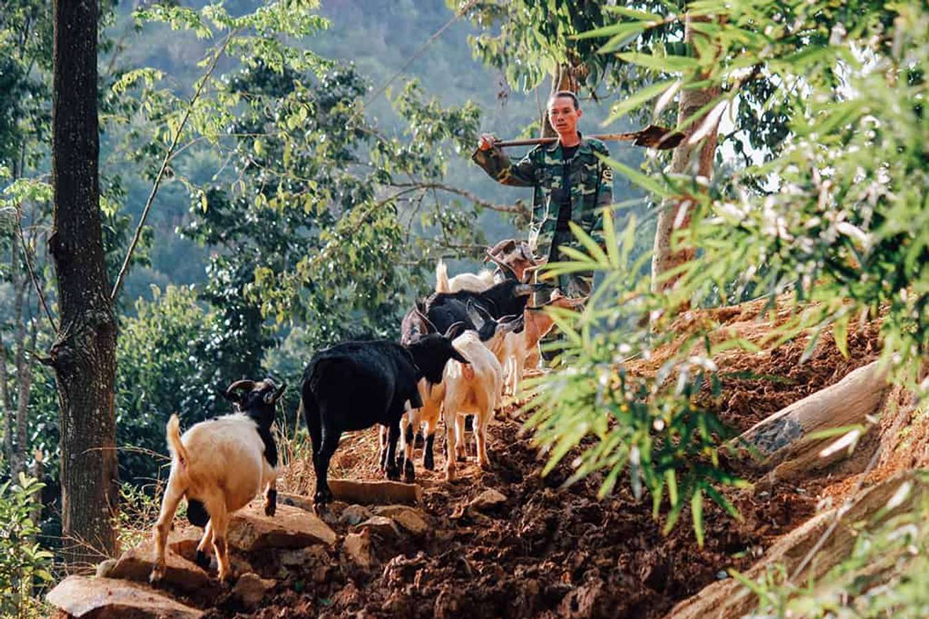 Lũng Cú - Các điểm du lịch Hà Giang