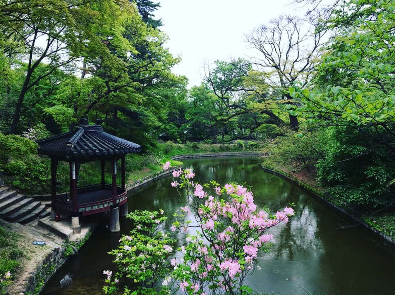 du lịch Hàn quốc tự túc-cung điện Changdeokgung