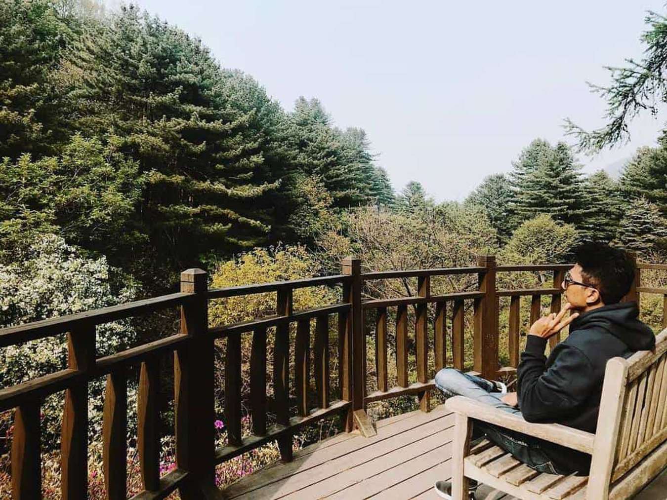 du lịch Hàn quốc tự túc-The Garden of Morning Calm