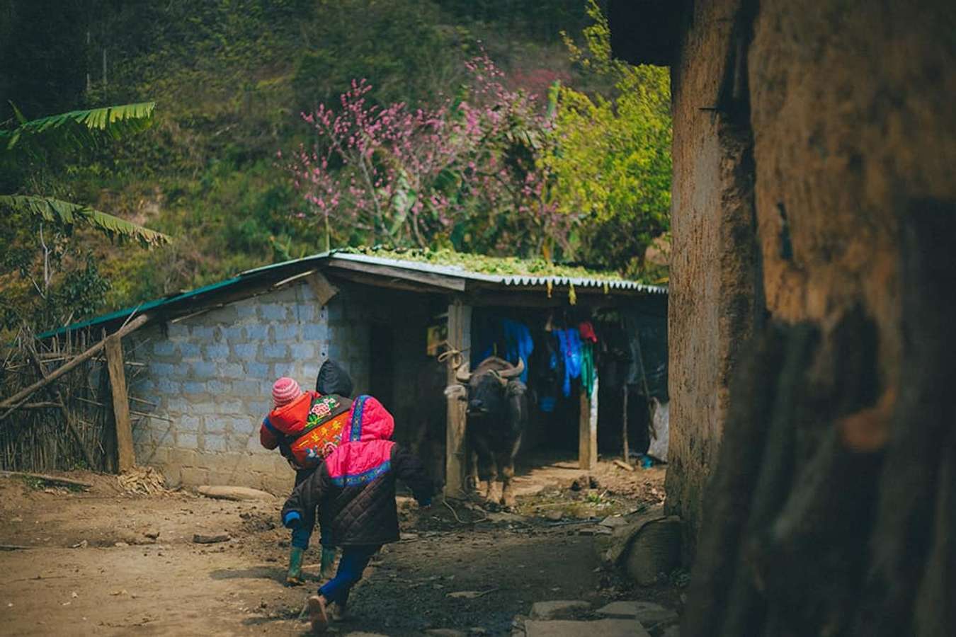 Kinh nghiệm du lịch Sapa 2 ngày 1 đêm 