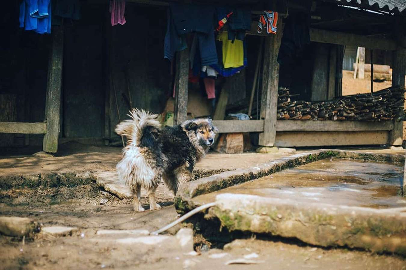 Kinh nghiệm du lịch Sapa 2 ngày 1 đêm 