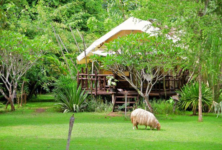 ที่พักกาญจนบุรีริมน้ำ หินตกริเวอร์เเคมป์ กาญจนบุรี (มาตรฐานความสะอาด SHA)