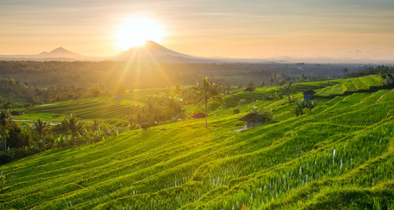 Jatiluwih Rice Terraces