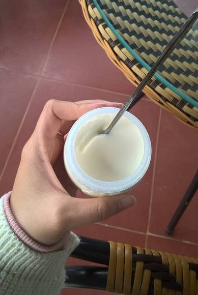 du lịch mộc châu 2 ngày-trang trại bò sữa dairy farm-sữa chua mộc châu