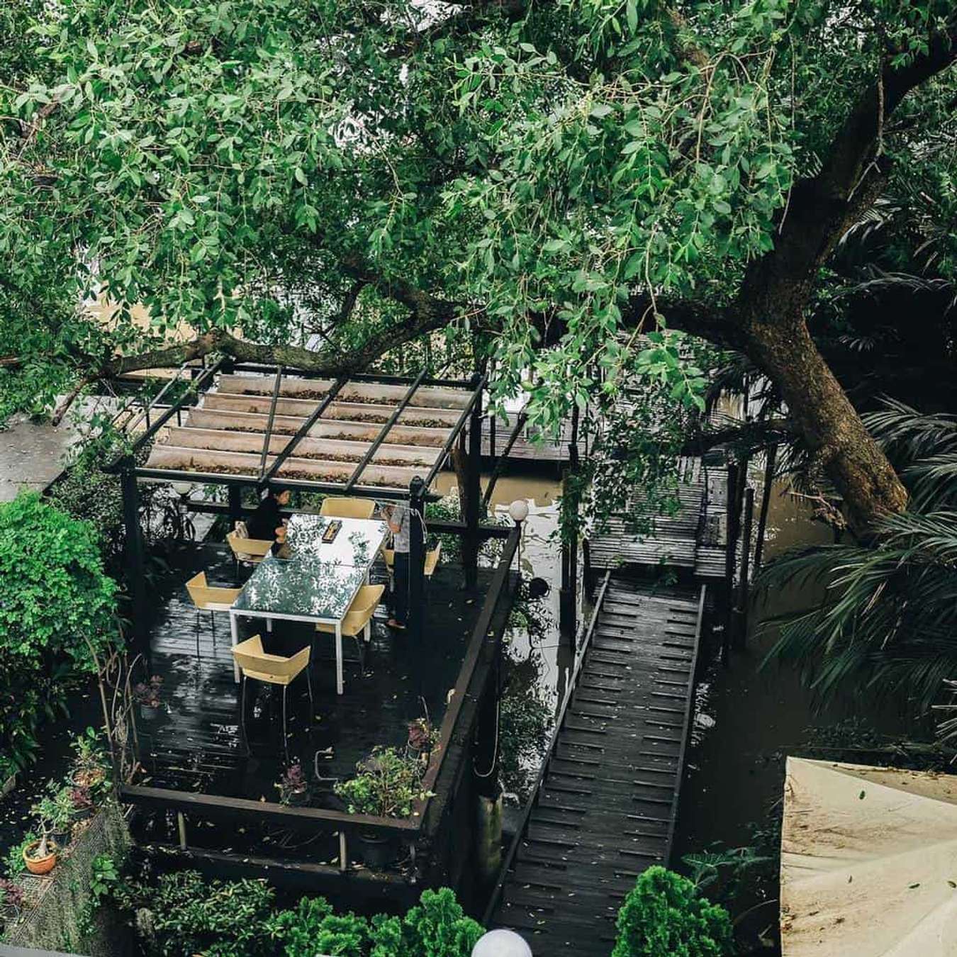 Bangkok Tree House - Nhà trên cây