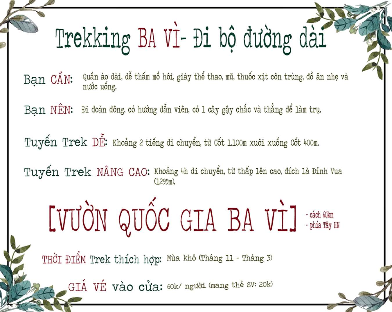 Phượt Ba Vì - Trekking vườn Quốc gia