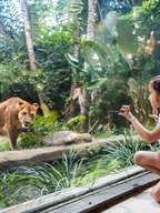 bali zoo vs bali safari park