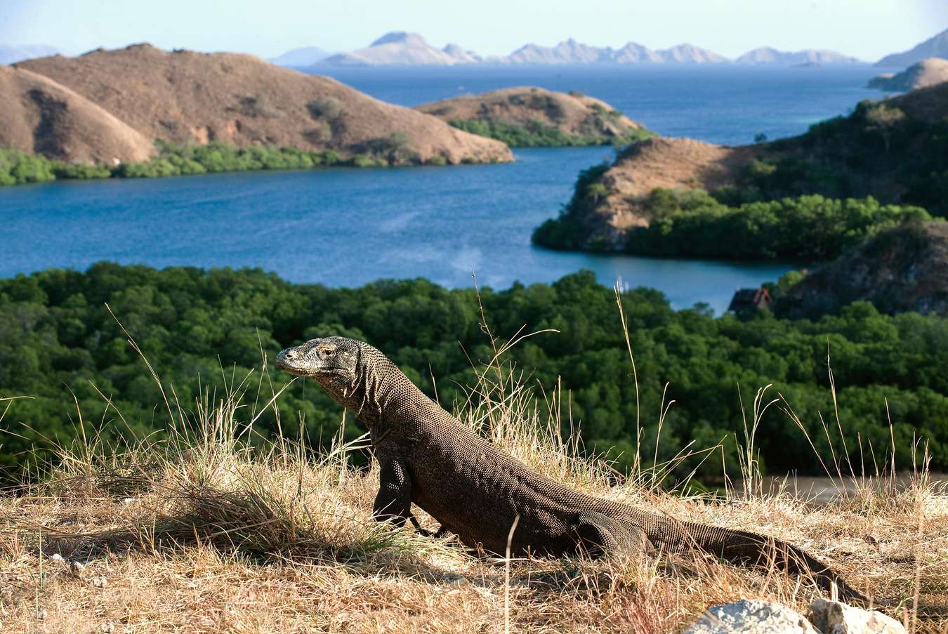 paket tour labuan bajo dari bandung