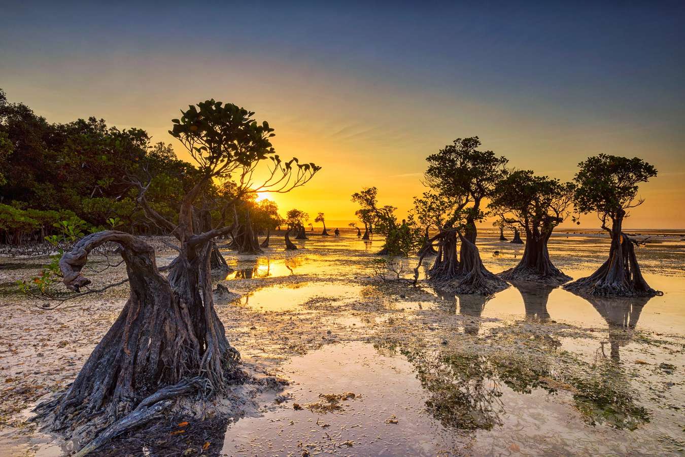 Wisata Sumba Barat Daya Pantai Walakiri