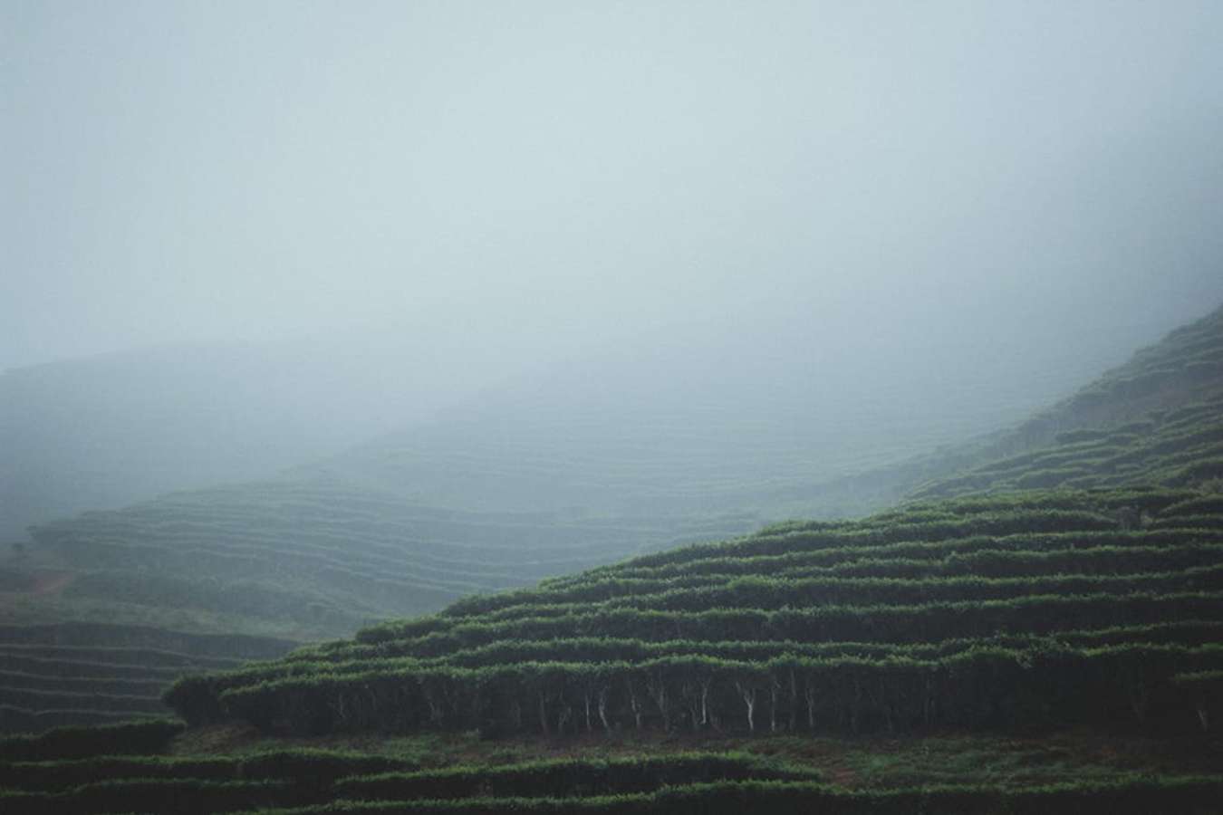 du lịch lai châu - than uyên