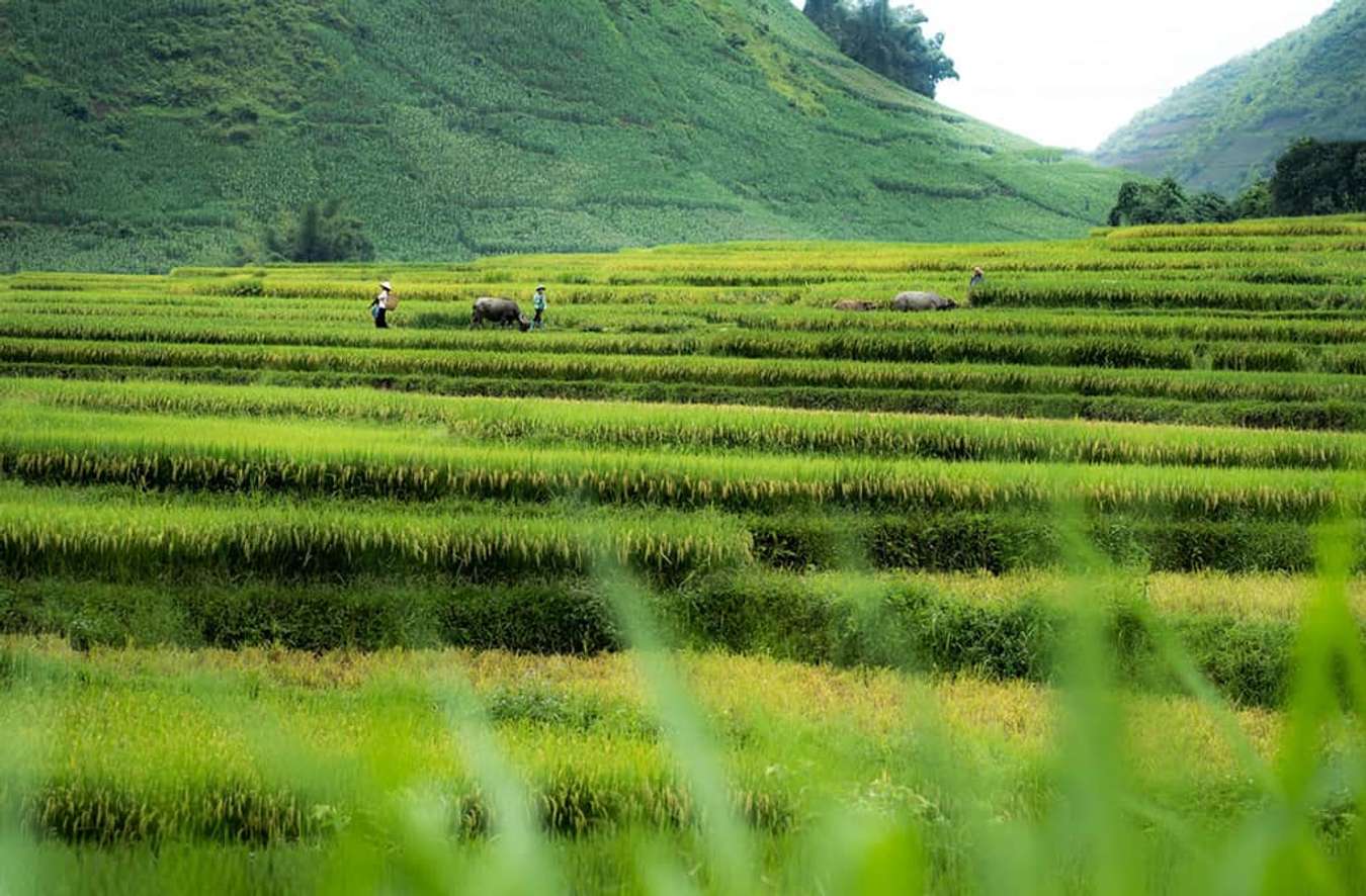 du lịch lai châu - than uyên