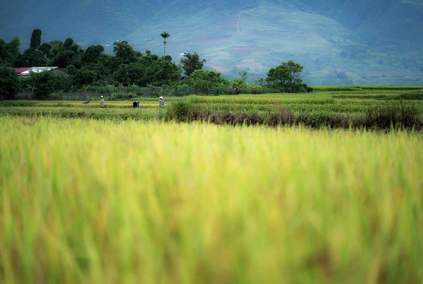 du lịch lai châu - than uyên