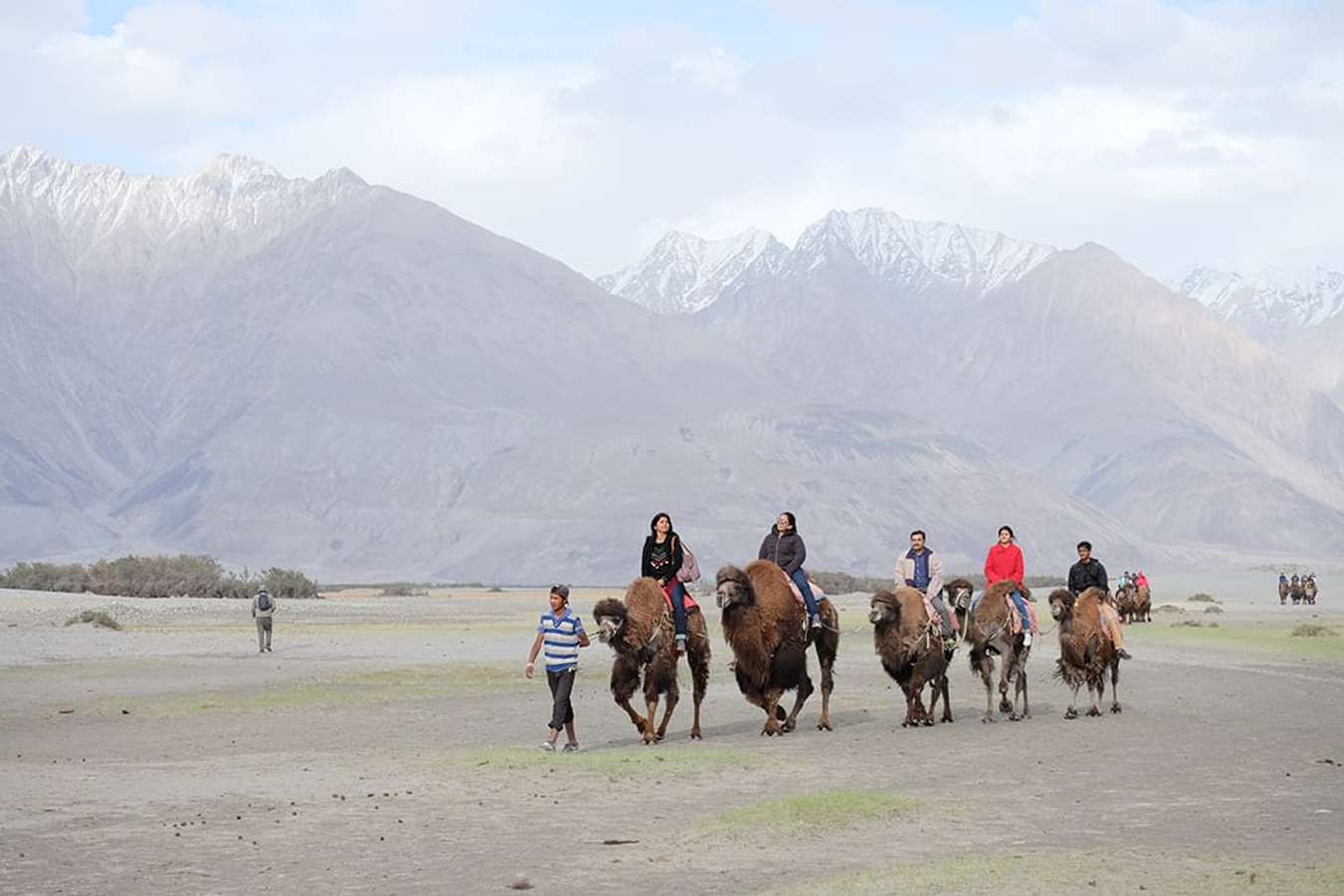 Kinh nghiệm du lịch Ấn Độ - thung lũng Nubra