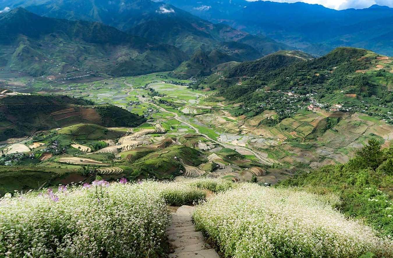 mù cang chải mùa nước đổ