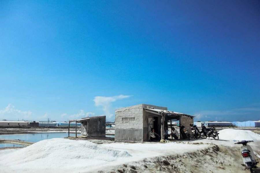 phan rang có gì chơi-Cánh đồng muối Phương Cựu