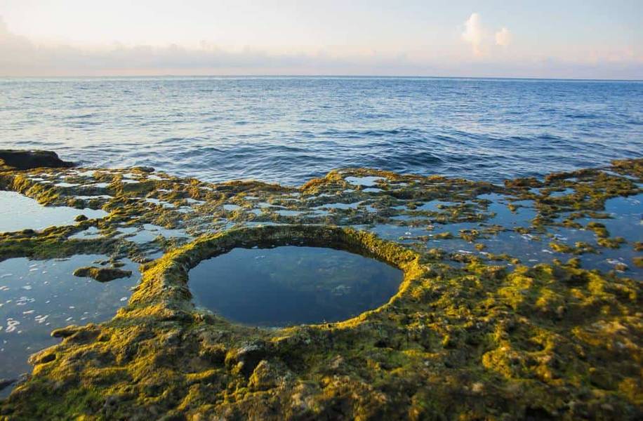 phan rang có gì chơi-hang rái