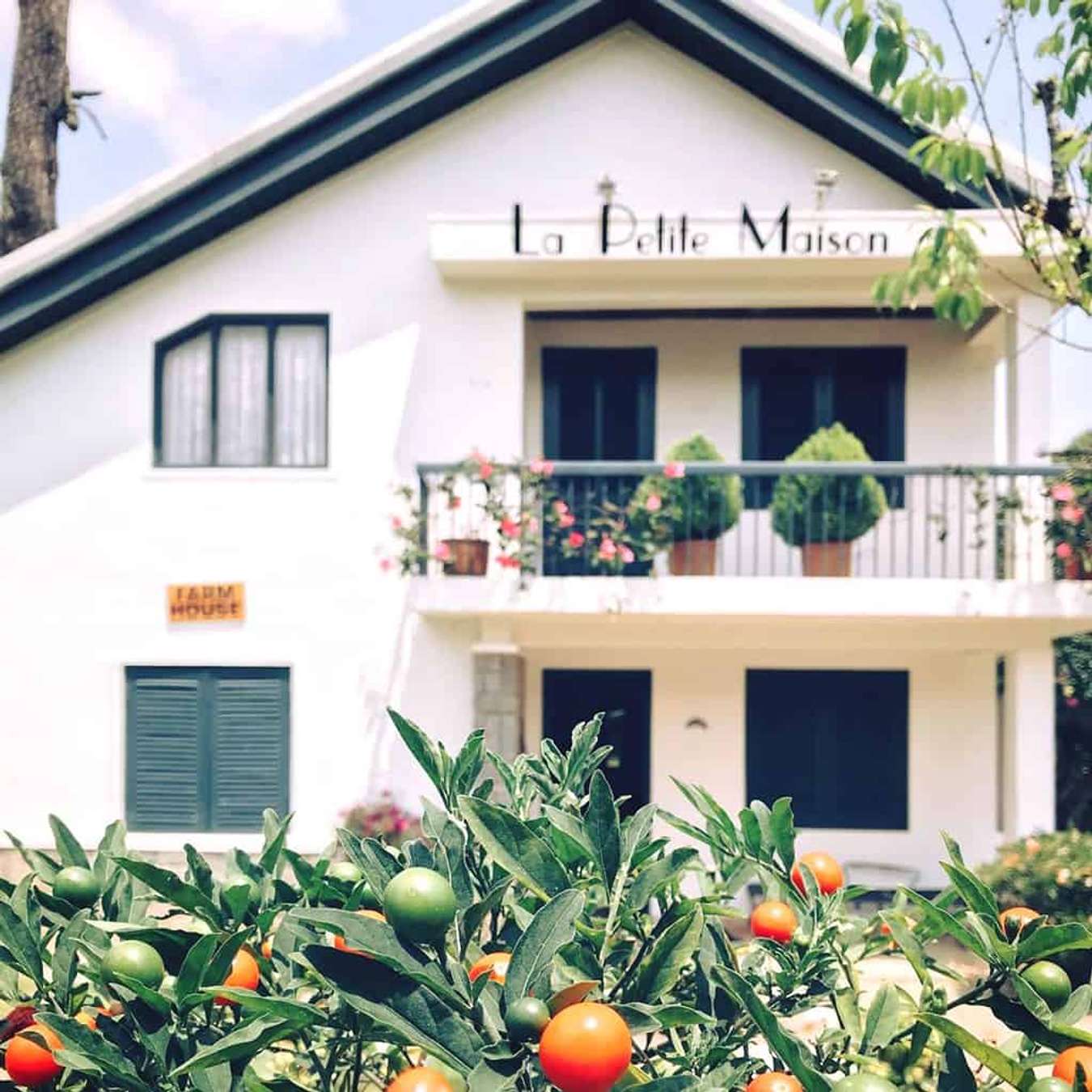 La Petite Maison - địa điểm chụp hình đẹp ở Đà Lạt 