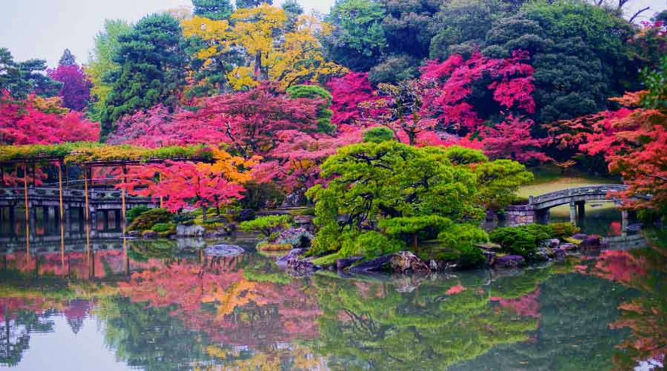 Top 10 Kyoto Tourist Spots Everyone Should Visit