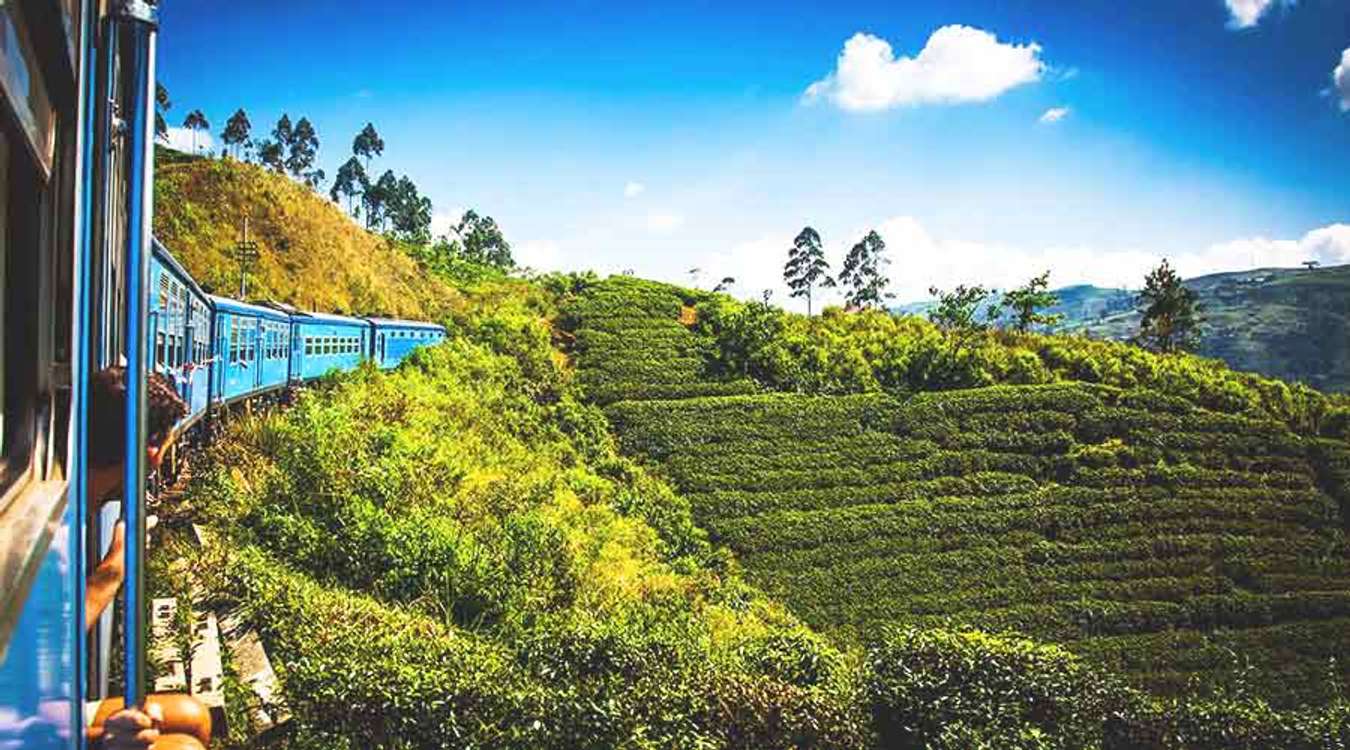 Sri Lanka Nuwara Eliya Train