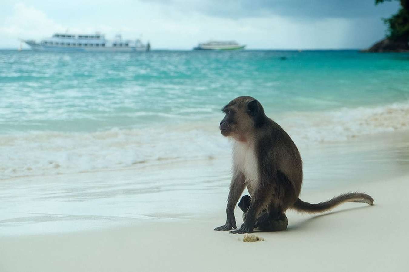 du lịch bụi thái lan - koh phi phi