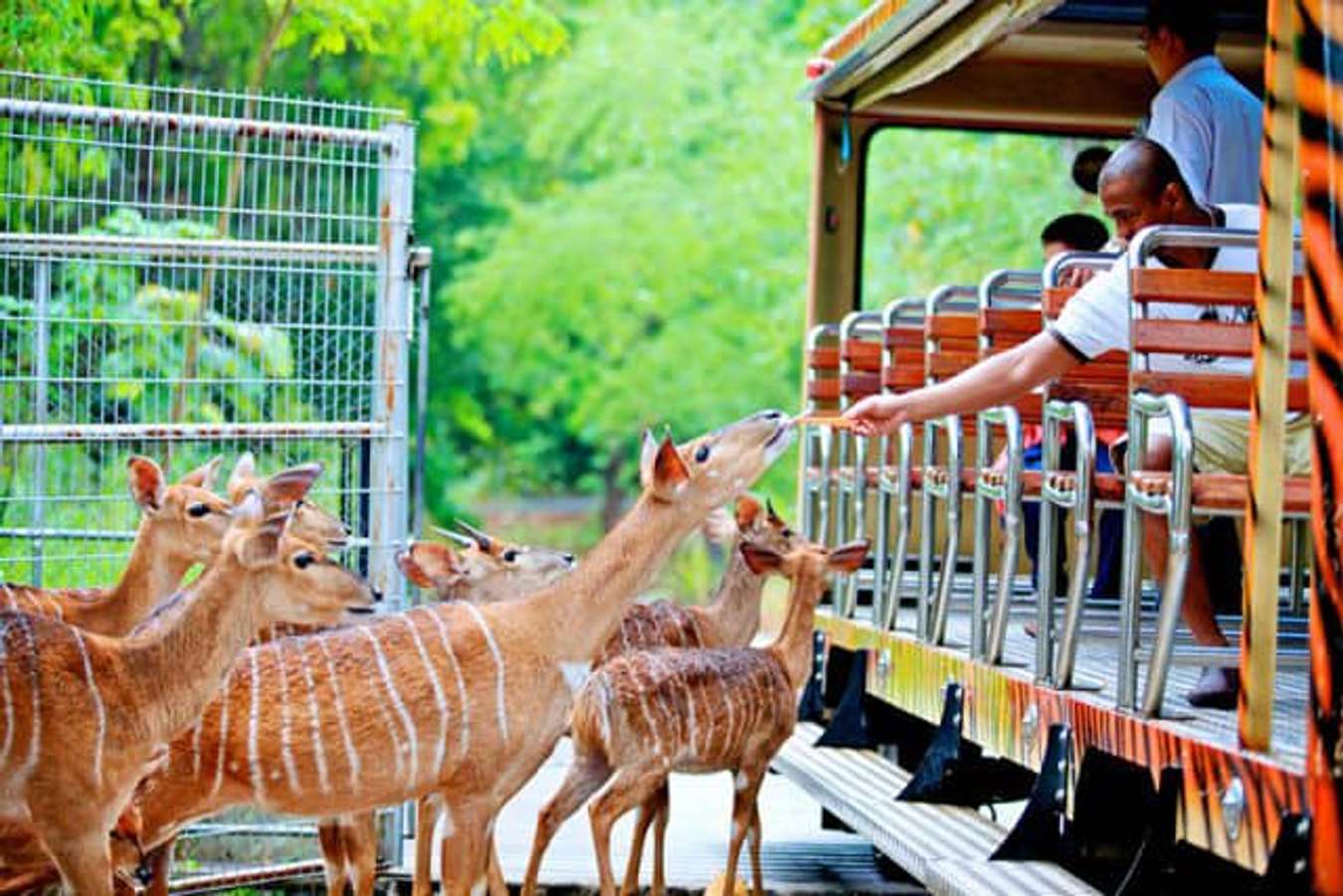 Công viên Quốc gia Doi Suthep-Pui - du lịch Chiang Mai