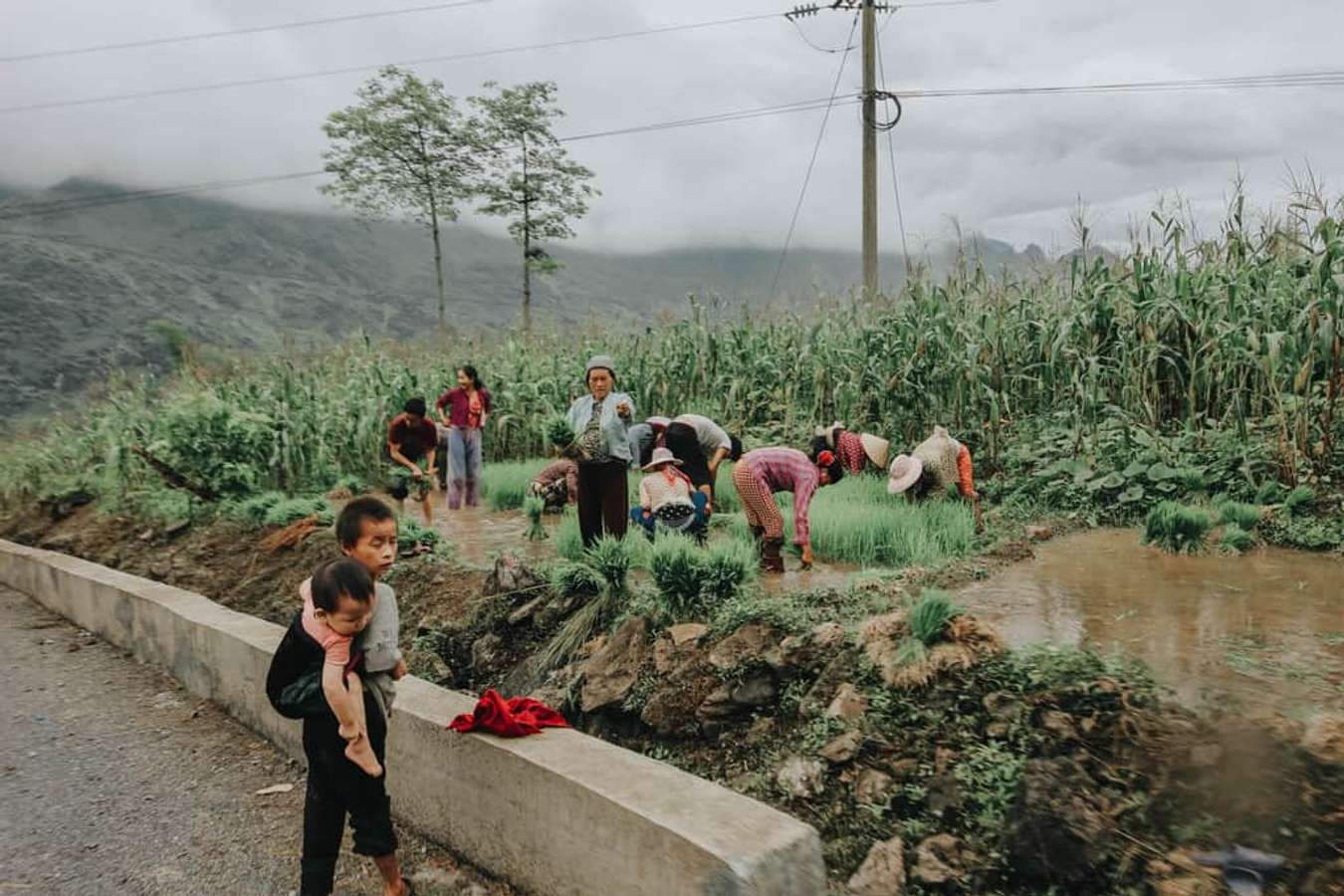 hà giang có gì đẹp